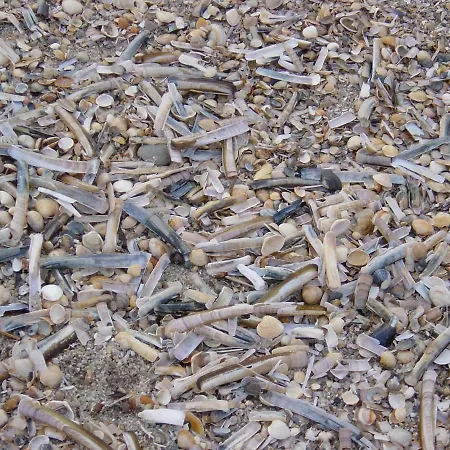 Appartement Haus Nordseeresidenz 27 Westerland